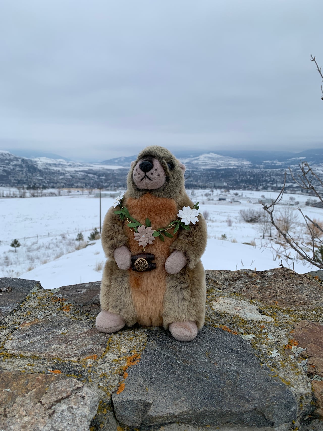 A stuffed toy of a groundhog on a rock outside