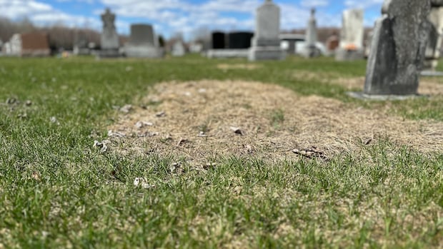 Ontario's 'troubling' surge in unclaimed bodies is not letting up