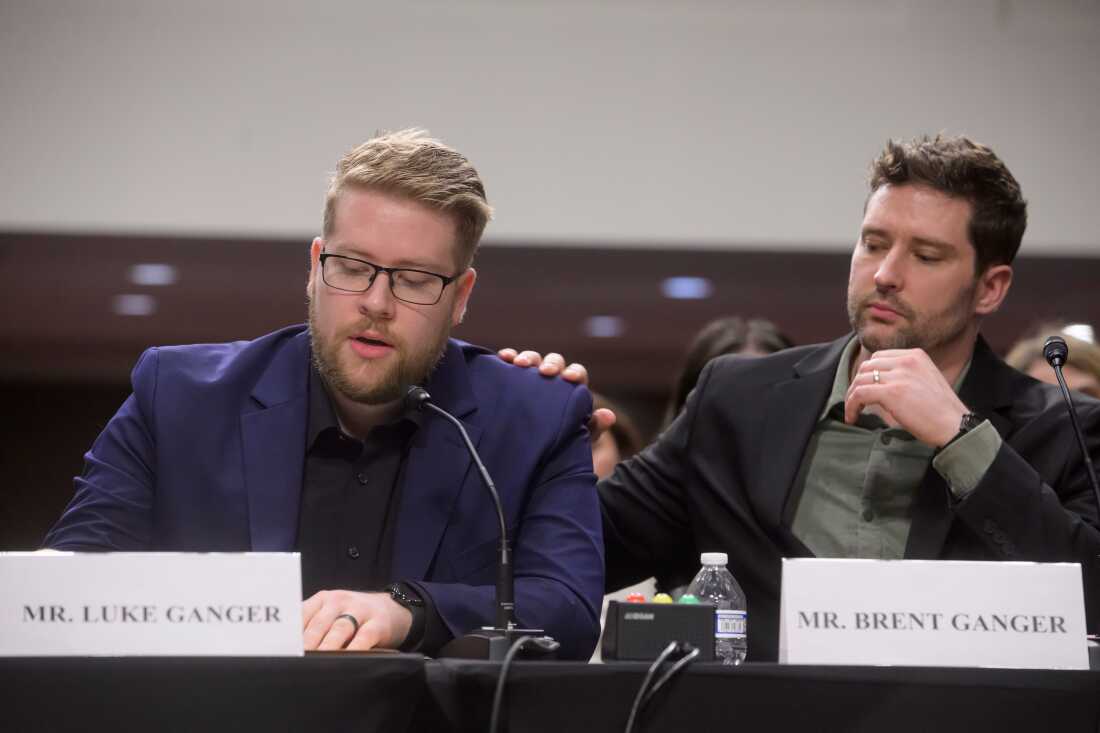 Luke Ganger, left, and Brent Ganger, right, brothers of Renee Good, appear during a Bicameral Public Forum on the Disproportionate Use of Force by DHS Agents, on Capitol Hill, Tuesday, Feb. 3, 2026, in Washington.