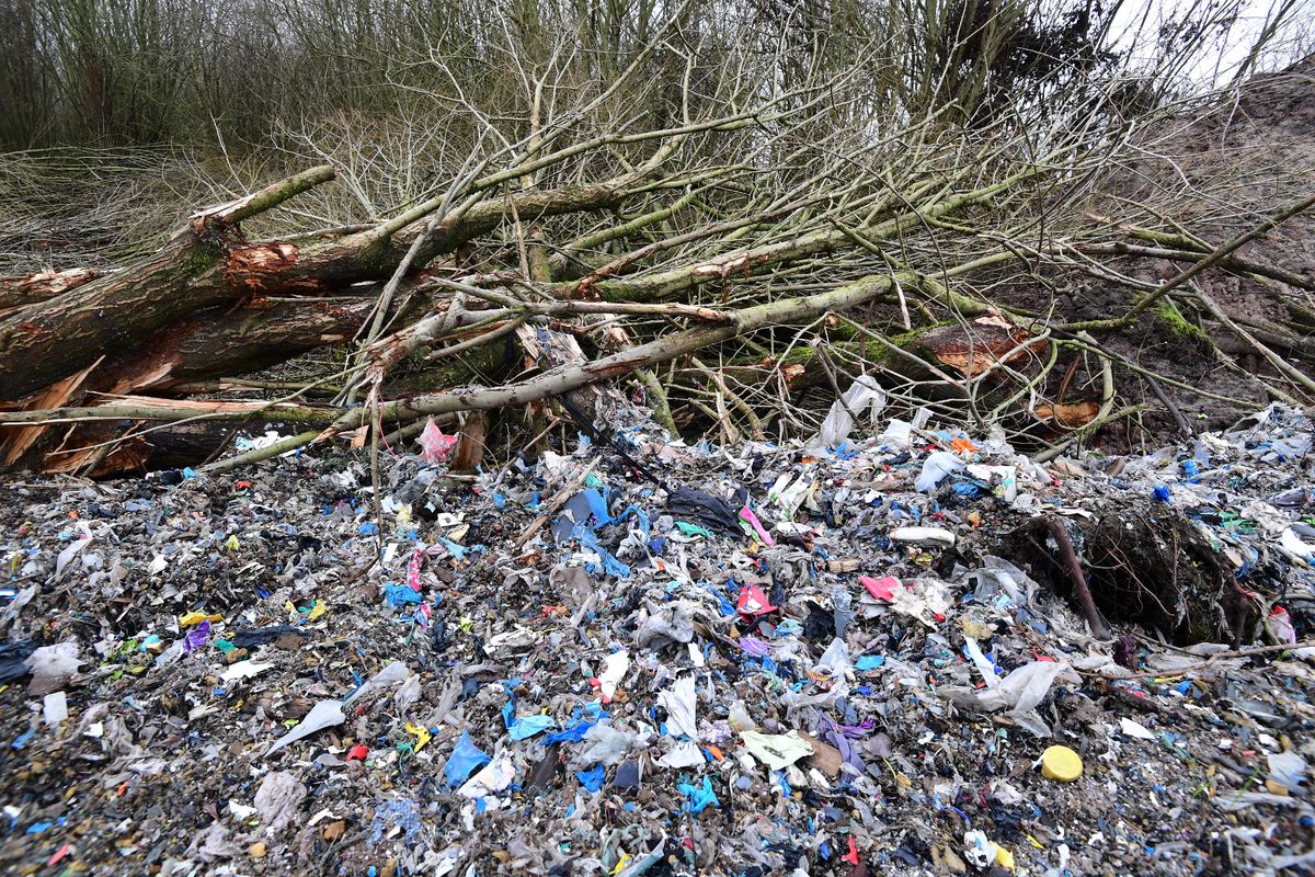 Trees cut down at illegal waste dump in Knowsley