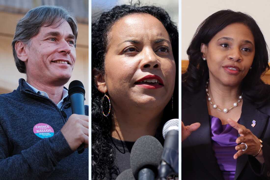 Shown from left are Tom Malinowski, Analilia Mejia and Tahesha Way, some of the 11 Democrats on the ballot in New Jersey’s 11th Congressional District special primary election on Thursday.