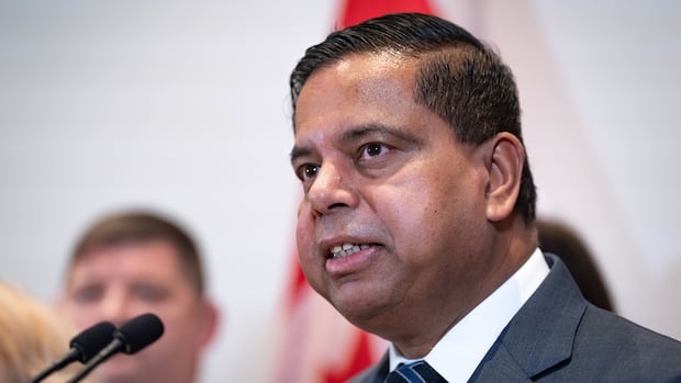 Federal government to raise $50 minimum fine for foreign interference
