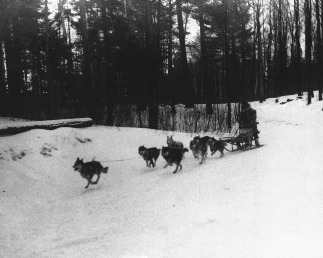 Legendary Alaskan sled dog racer Leonhard Seppala, pictured with his team in Lake Placid, N.Y., in 1930.