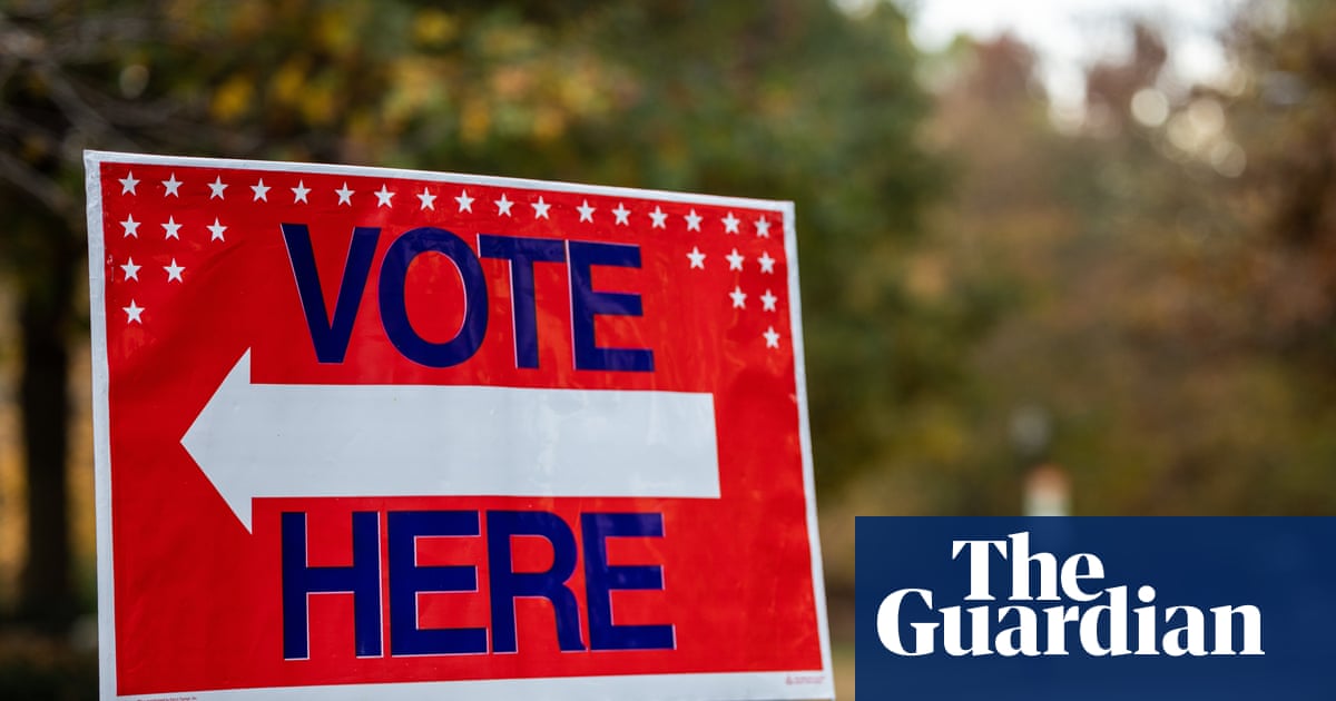 ‘Grind the country to a halt’: Democrat urges national strike if Trump meddles in midterms | Democrats