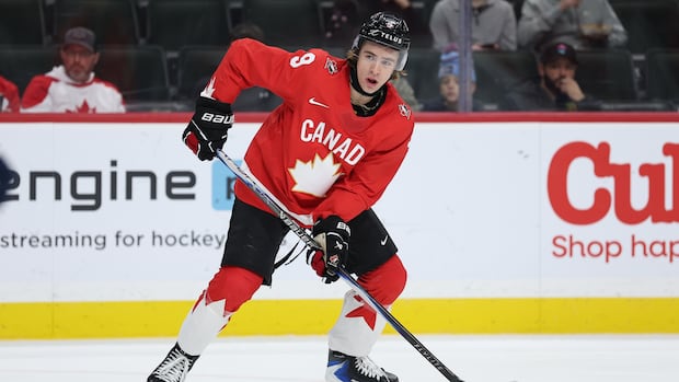 Prosecutors drop aggravated assault charge against Yukon hockey prospect McKenna