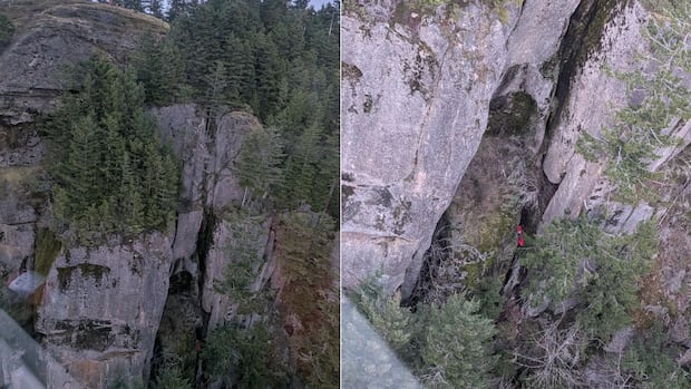 Bystander helps save paraglider who crashed into cliff on Vancouver Island
