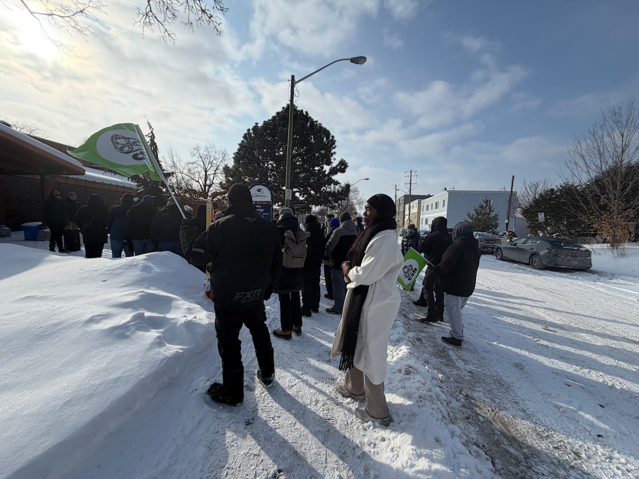 Several dozen people wave flags and stand outside on a winter day.