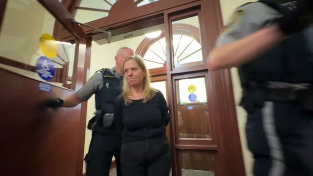 Former IWK CEO released from jail pending appeal of fraud conviction