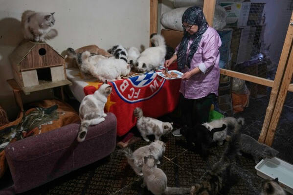 Diana Abadi, known as "the mother of cats," feeds felines that are up for adoption at her small pet food and plant shop in Hadath, in Beirut's southern suburbs known as Dahiyeh, in Lebanon, Saturday, Feb. 7, 2026. (AP Photo/Bilal Hussein)