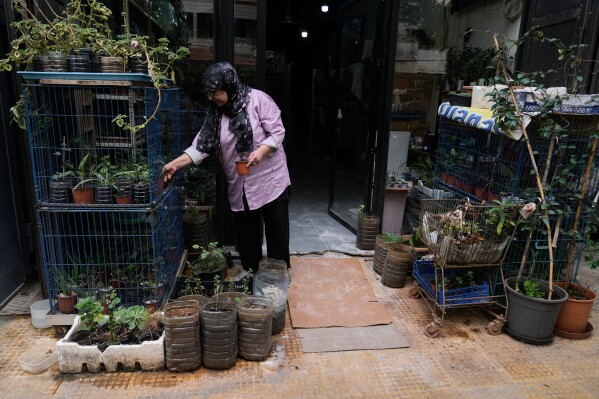 Diana Abadi, known as "the mother of cats," tends her plant and pet food shop where she fosters cats up for adoption in Hadath, in Beirut's southern suburbs known as Dahiyeh, in Lebanon, Saturday, Feb. 7, 2026. (AP Photo/Bilal Hussein)