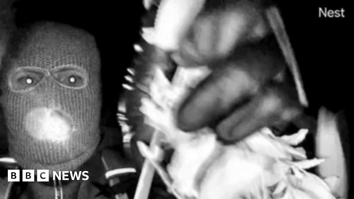 A black and white images of a masked person, that show the person at night in gloves, with what appears to be a small flashlight held between their teeth, andcovering the camera with what appears to be branches.