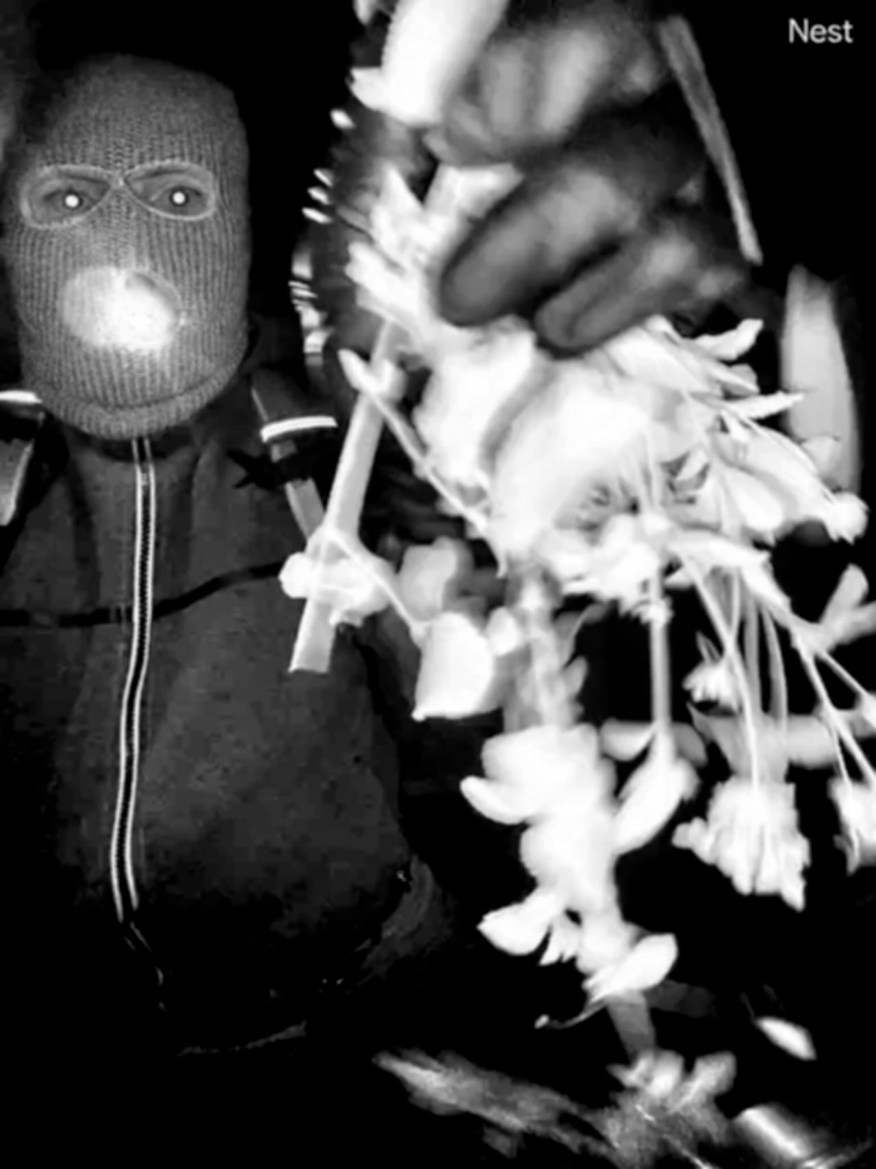 night vision image of masked man