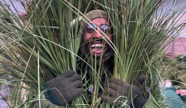 What it was like being a bushel of grass in Bad Bunny’s Super Bowl ‘field of dreams’