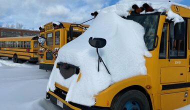 A list of Maritime school closures for Thursday - CTV News
