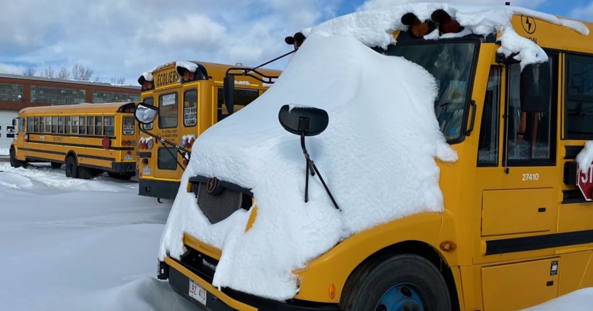 A list of Maritime school closures for Thursday - CTV News