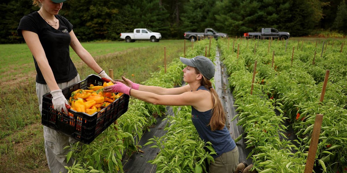 GOP Ripped for 'Grotesque' Farm Bill Full of 'Industry-Backed Poison Pills'