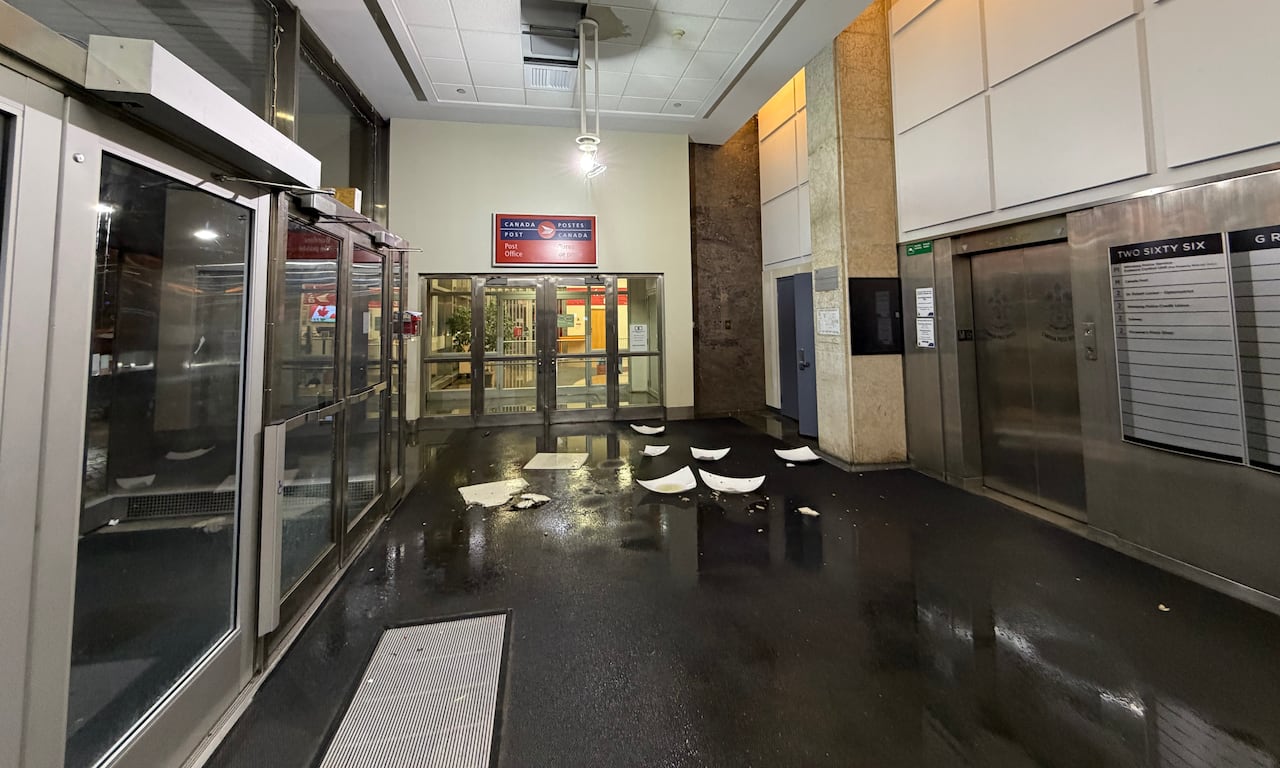 Broken white pieces are scattered on a wet mat.