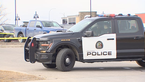 Calgary senior dies after being struck by tractor trailer, police say