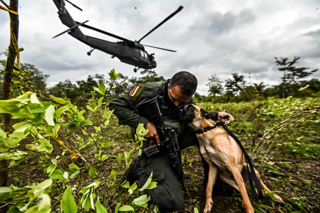 TOPSHOT - A Colombian police officer hugs a dog during an operation to eradicate illicit crops in Tumaco, Narino Department, Colombia on December 30, 2020.