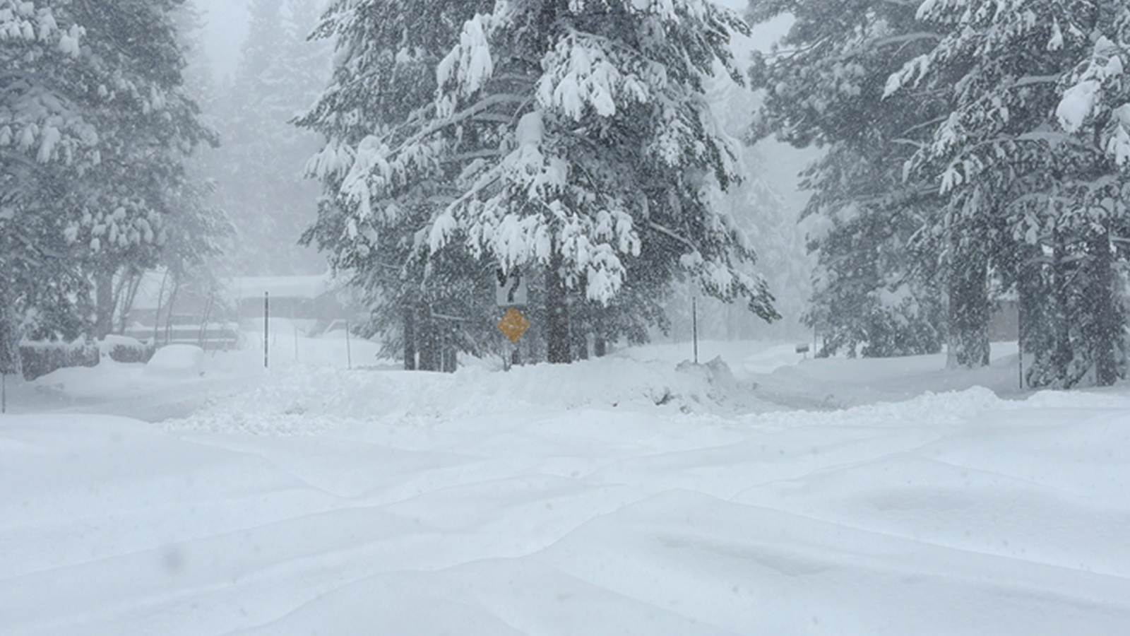 6 backcountry skiers found alive, 10 missing after avalanche near Donner Pass in Sierra Nevada, California: officials