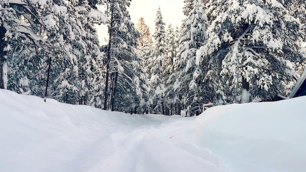 8 skiers found dead, 1 still missing in deadliest avalanche in Northern California in decades