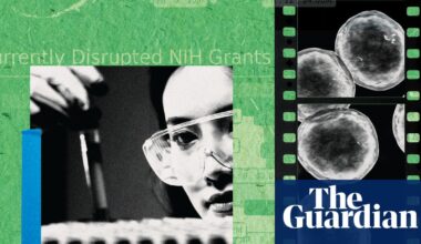 ‘We’re no longer attracting top talent’: the brain drain killing American science | US news