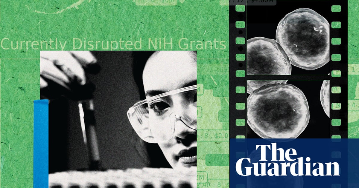 ‘We’re no longer attracting top talent’: the brain drain killing American science | US news