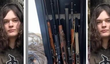 Tumbler Ridge shooter’s ChatGPT activity flagged internally 7 months before tragedy