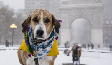 NYC, NJ forecasts now warn up to 10 inches of snow expected for Sunday storm