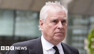 Met officers working for Andrew told to guard Epstein's home, emails show - BBC