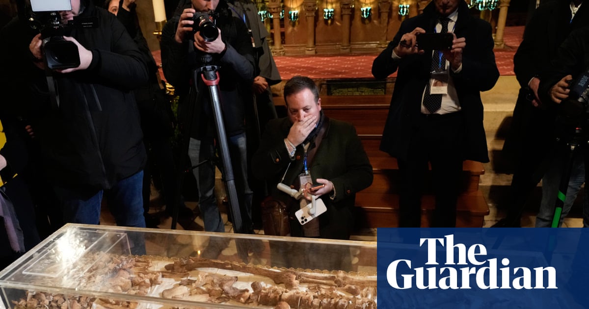 Saint Francis of Assisi’s skeleton goes on public display for first time | Italy