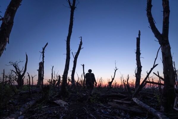 Ukrainian servicemen walk through a charred forest along the front line, a few kilometers from Andriivka, Donetsk region, Ukraine, Saturday, Sept. 16, 2023. (AP Photo/Mstyslav Chernov, File)