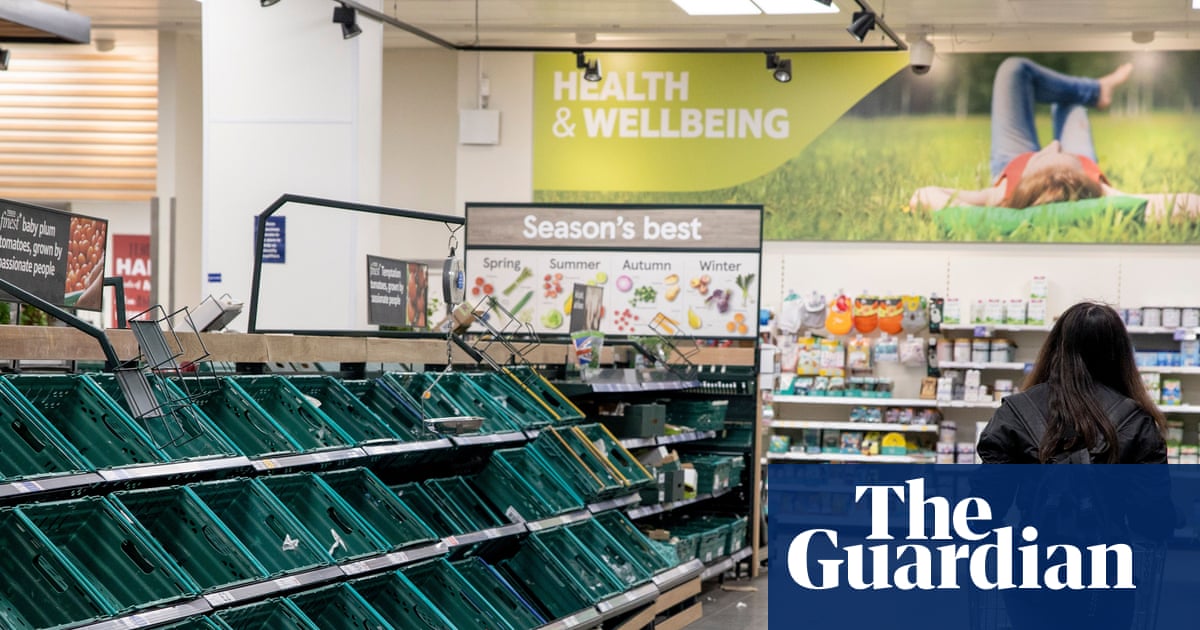 ‘Tinderbox’ UK may be one shock away from food riots, experts say | Food