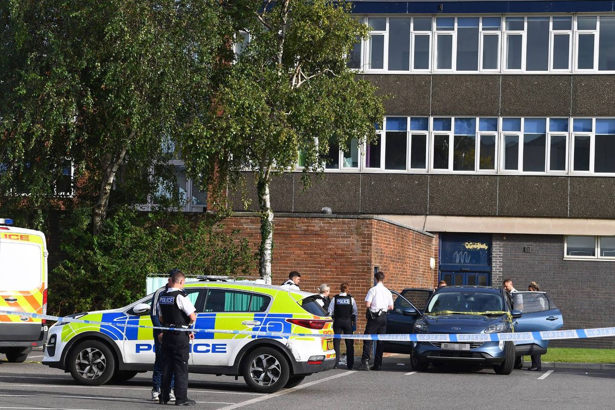 An emergency vehicle is parked on the side of the road, with police officers and an individual standing nearby. A building with several windows is visible in the background, and a tree is present on the left side of the scene.