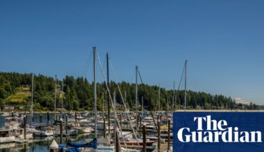 Man stabs four people to death in Washington state | Washington state