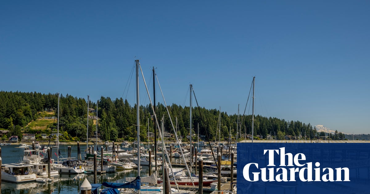 Man stabs four people to death in Washington state | Washington state