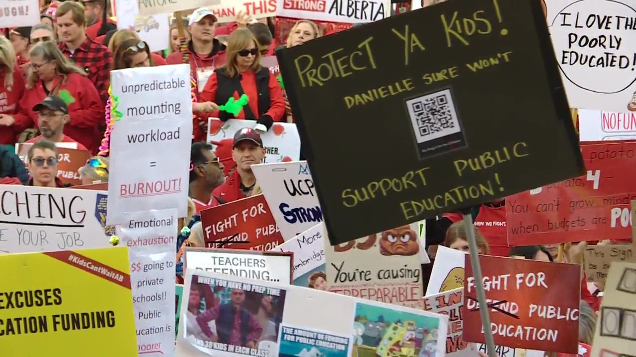 Click to play video: 'Alberta teachers report widespread low morale, burnout and despair in new survey'