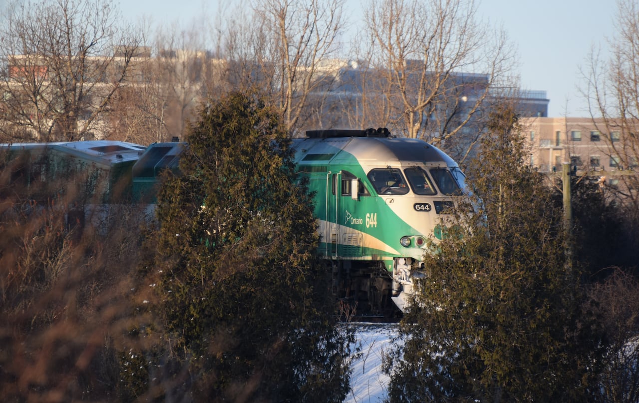 A green and white GO train sits on tracks behind some trees