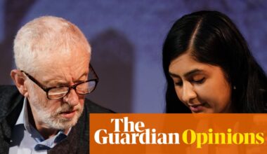 The Your Party committee election was chaos. Why break the habit of a lifetime? | John Crace