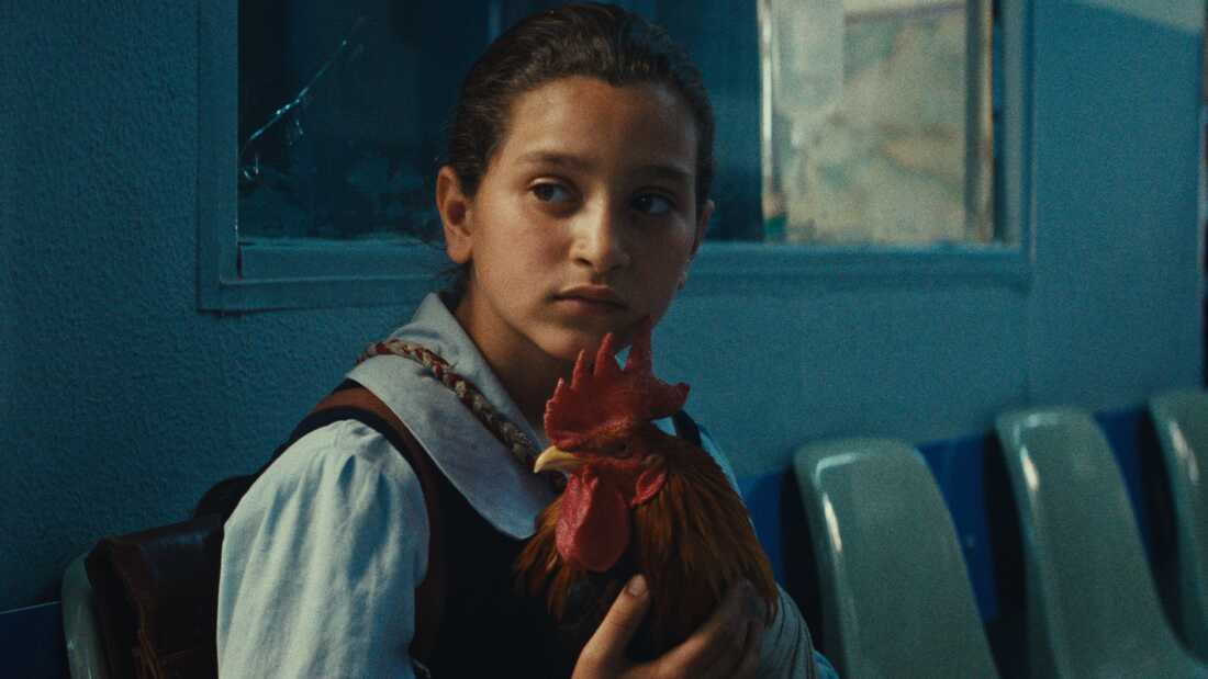 Baneen Ahmed Nayyef has her feature film debut in Hasan Hadi's The President's Cake, in the role of nine-year-old Lamia, who is tasked with baking a birthday cake for an Iraqi dictator.