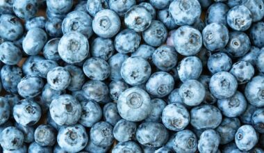 Frozen blueberries sold in Canada and U.S. recalled over listeria contamination risk, FDA says