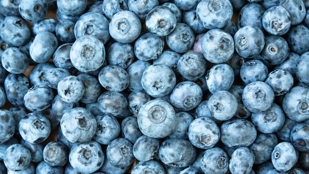 Frozen blueberries sold in Canada and U.S. recalled over listeria contamination risk, FDA says