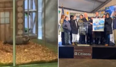 Groundhog Day 2026: NYC's Staten Island Chuck sees his shadow, predicting 6 more weeks of winter