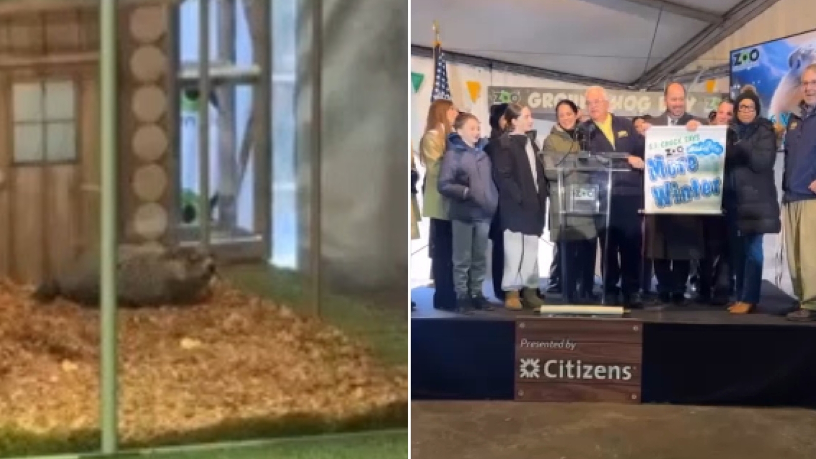 Groundhog Day 2026: NYC's Staten Island Chuck sees his shadow, predicting 6 more weeks of winter