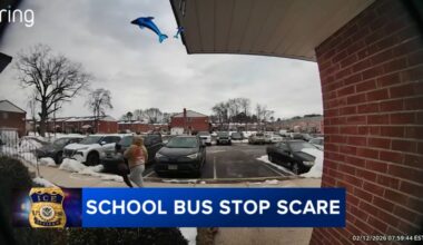 Children flee bus stop after ICE agents spotted in Lindenwold, school district says