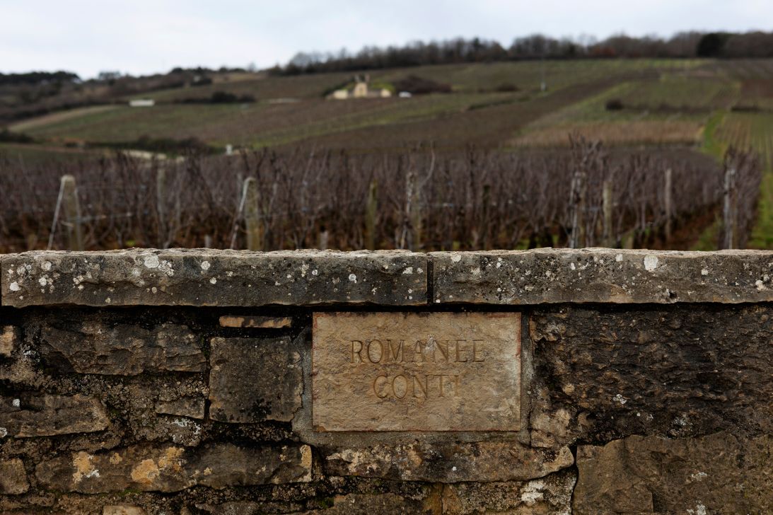 Domaine de Romanée-Conti vineyards.