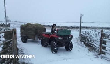 Picture of an open farm gate with a quad bike pulling a trailer of hay.  Sheepdog is sitting on quad bike, made to look like it is the driver.  Snow covers the ground and fields around.