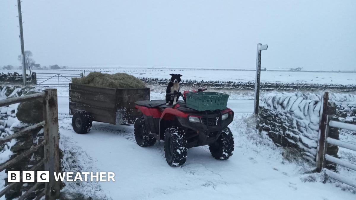 Picture of an open farm gate with a quad bike pulling a trailer of hay.  Sheepdog is sitting on quad bike, made to look like it is the driver.  Snow covers the ground and fields around.
