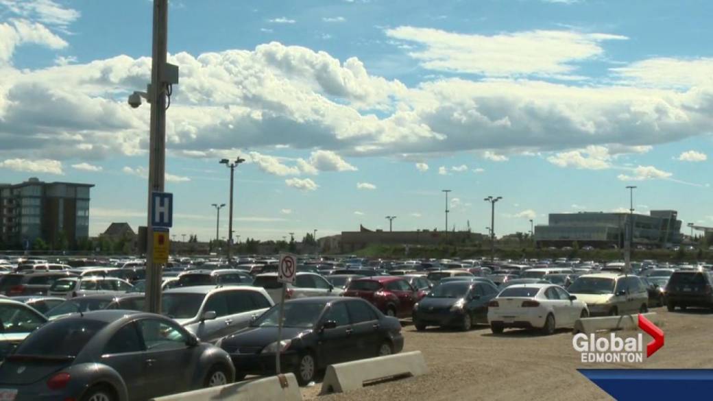 Click to play video: 'What happens at south end of LRT line?'