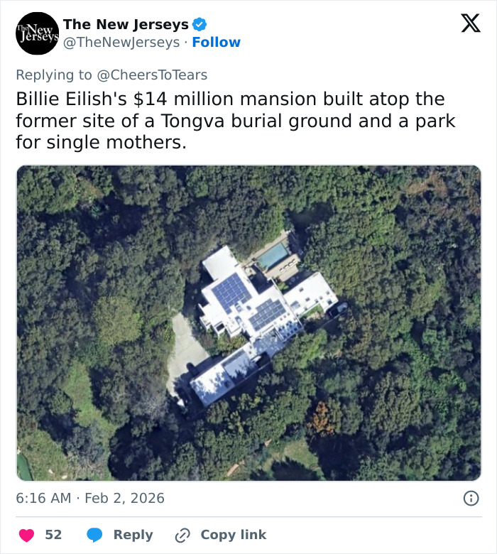 Aerial view of Billie Eilish’s $14 million mansion surrounded by dense greenery amid critics discussing her lavish lifestyle.